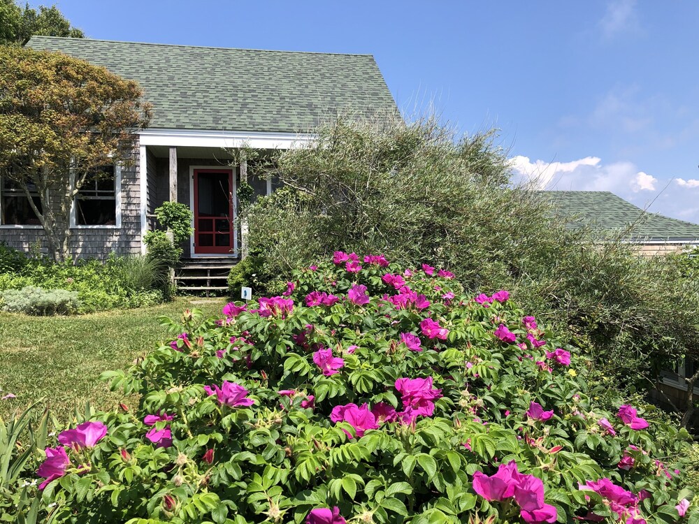 Sea Breeze Inn