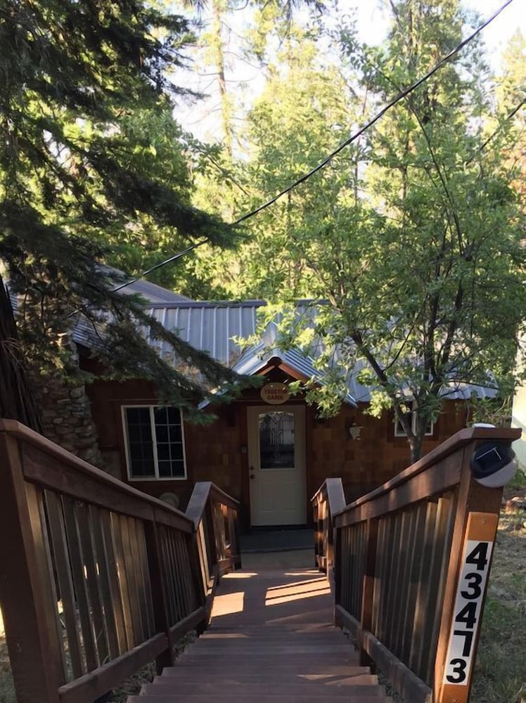 Treetop Cabin