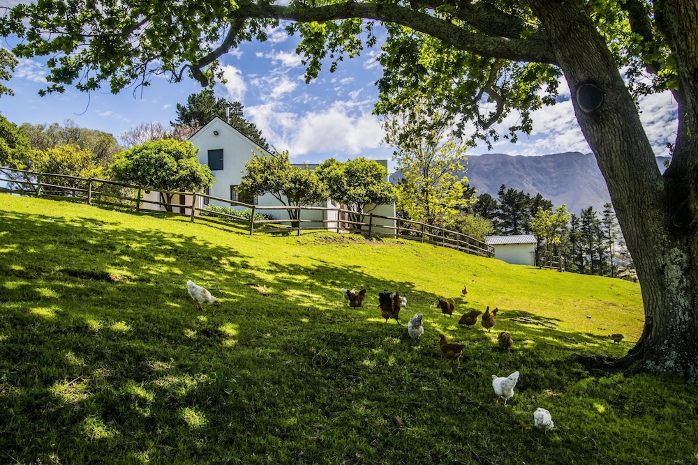 High Season Farm