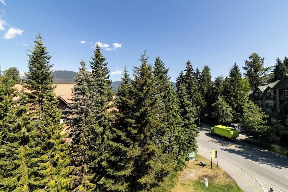 Entire Studio in Whistler Village Resort - Unit 437