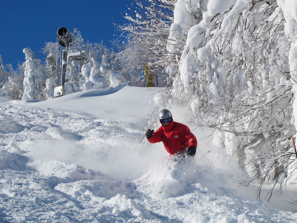 The Inn at Snowshoe