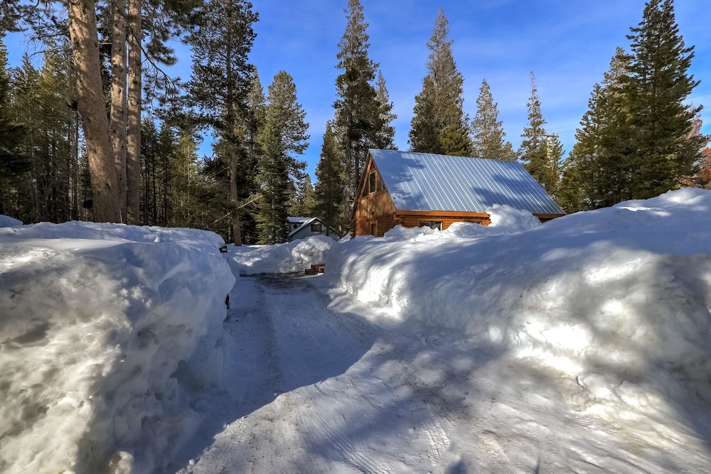 Augies Authentic Log Cabin! Pets Welcome! view 3