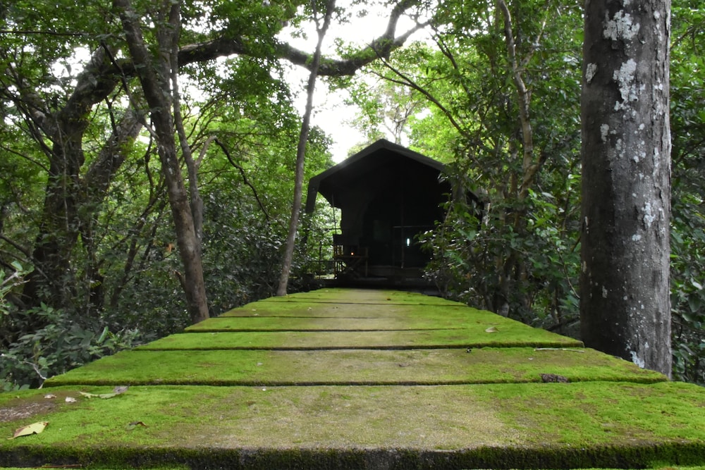 Explorer by Eco Team - Wasgamuwa National Park