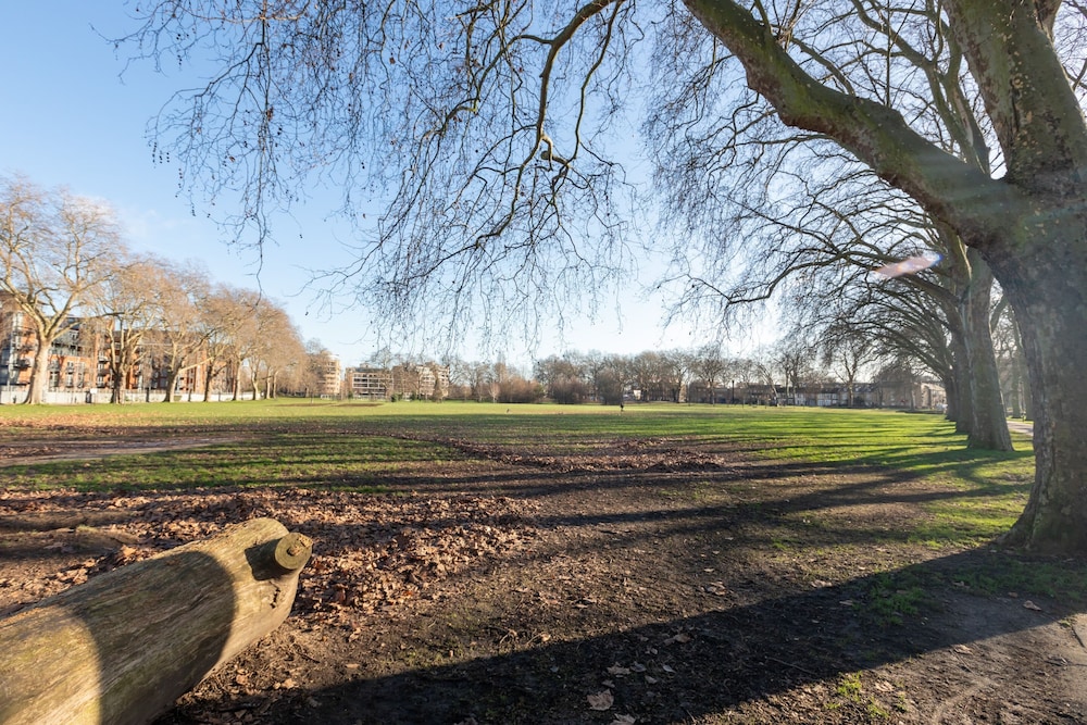 Serene and Spacious 1 Bedroom Garden Flat in Clapton