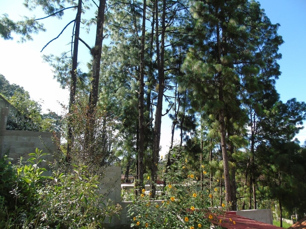 Photo 8
