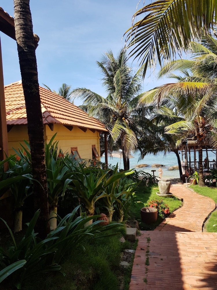 Free Beach Resort