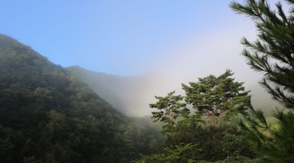 Bandibyeol Pension