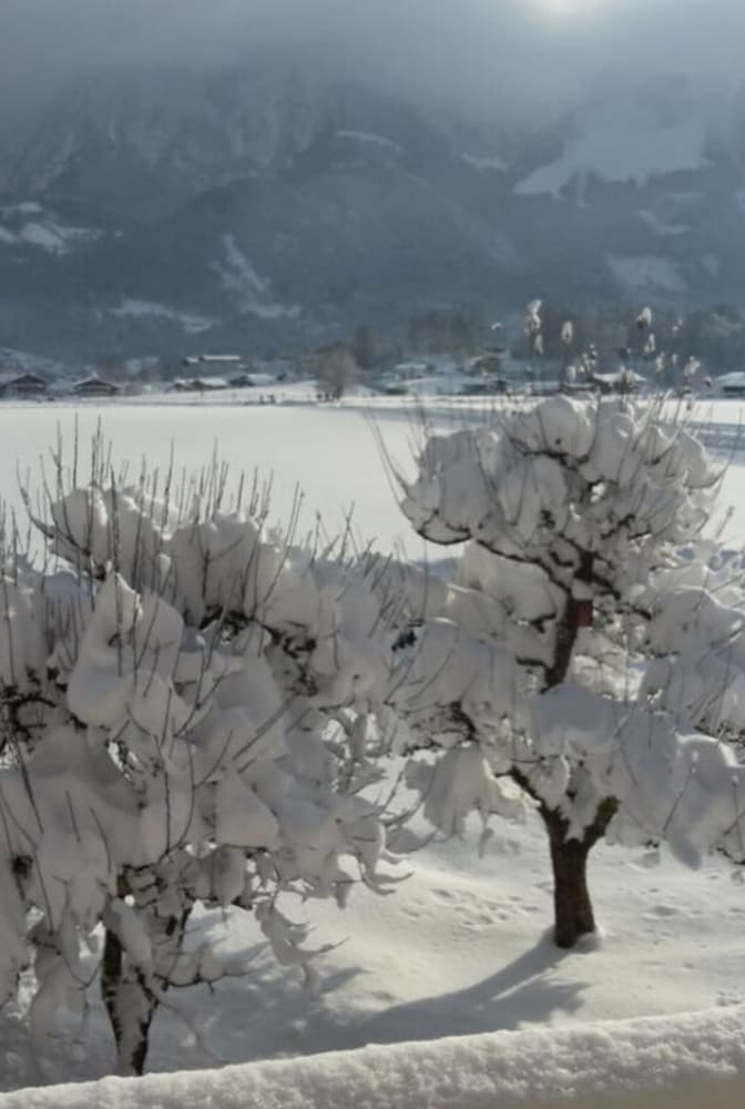 Kehlstein - Reich Family view 3