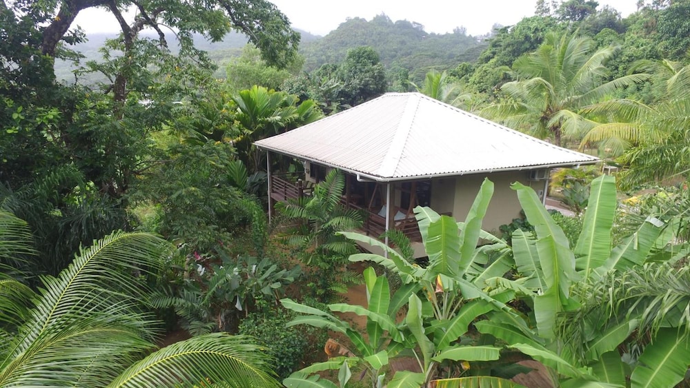 A Peace in Paradise