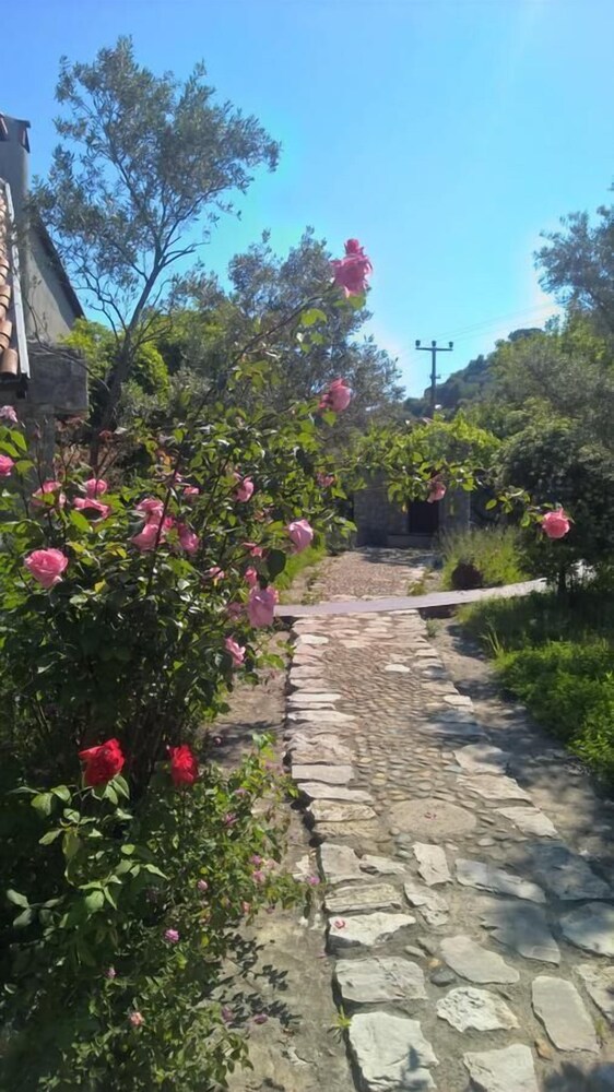 Caretta Villa