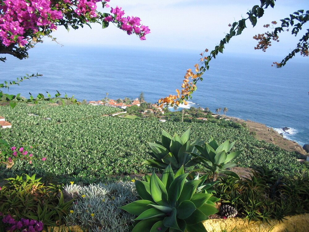 Residencia San Pedro view 2