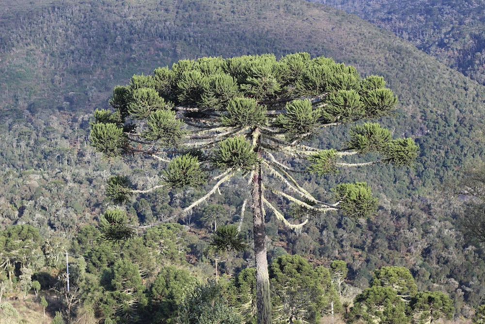 Le Refuge Urubici