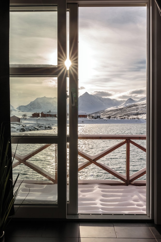 XLyngen