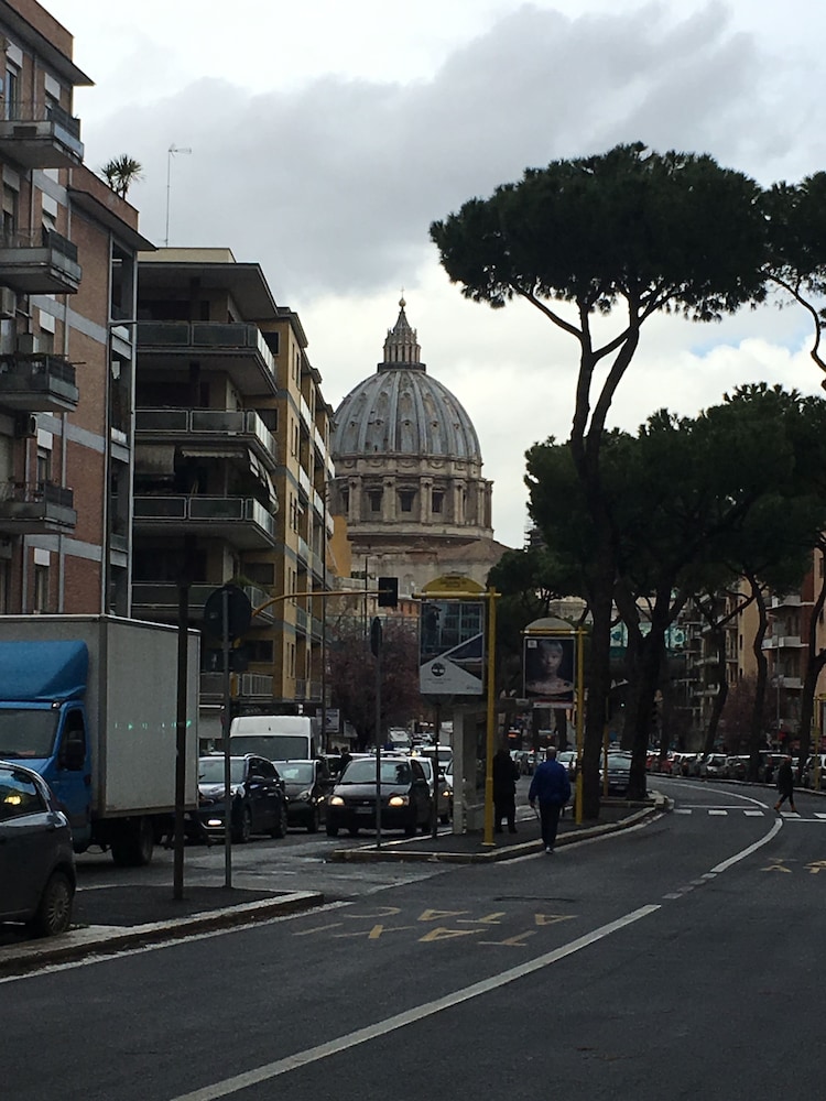 Domum Vaticani