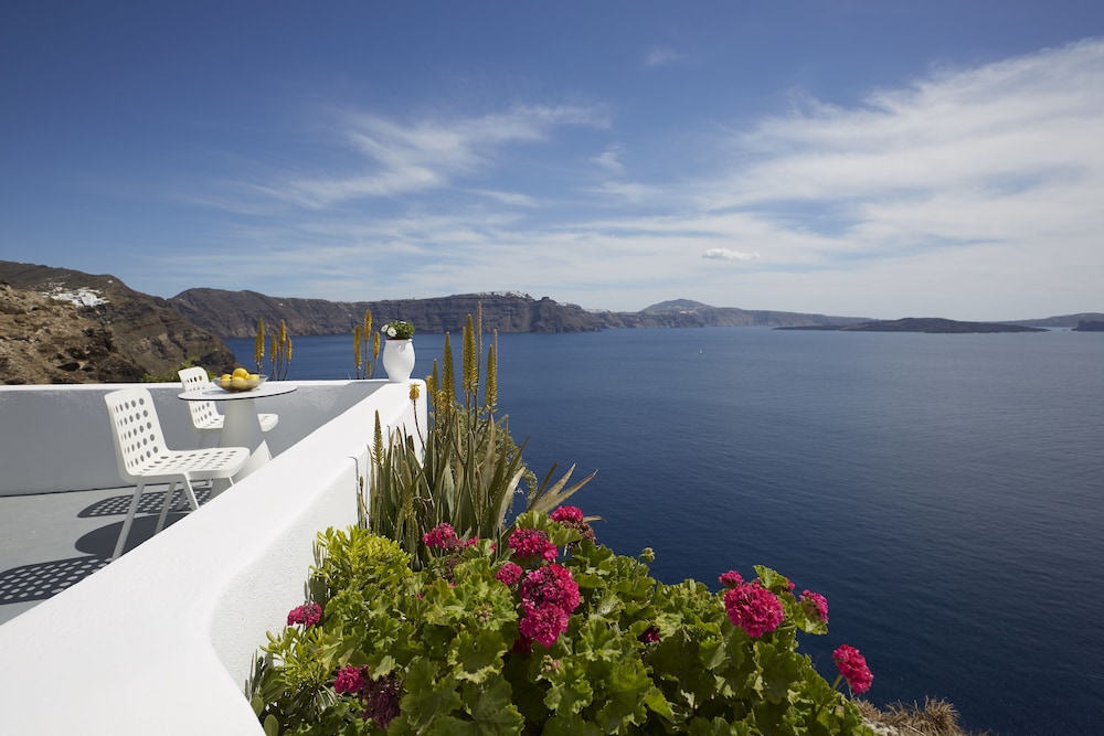 Helianthus Suites