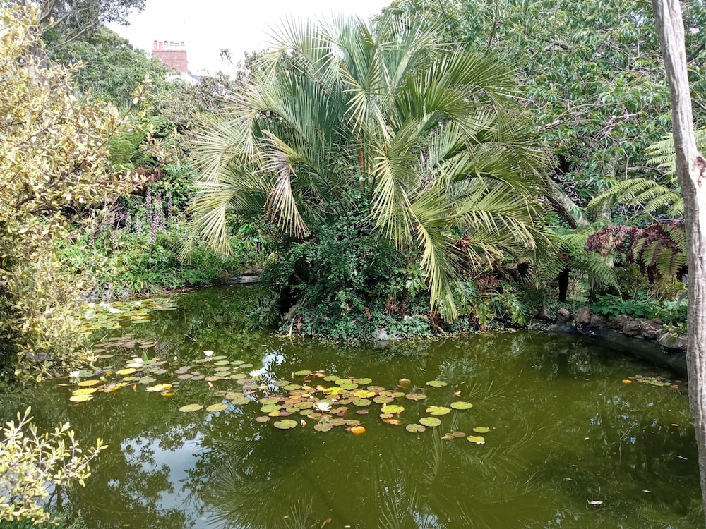 Photo 27