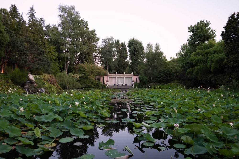 Charming 1BR Suite in Revislate