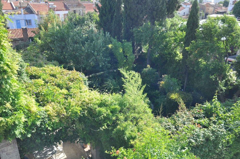 Olea Leya Hotel view 4