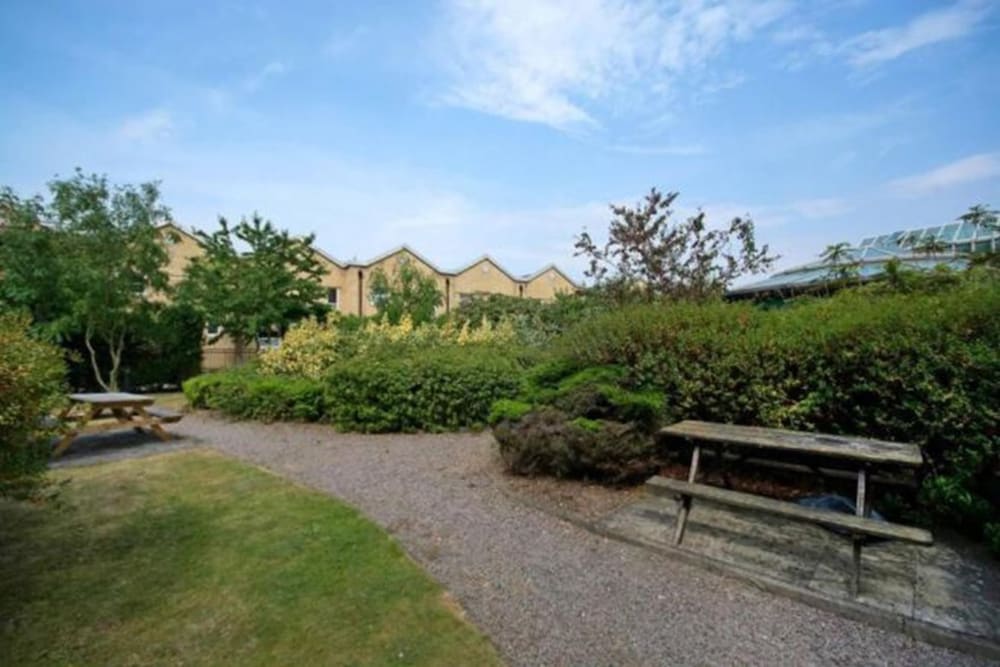 Bright, Modern One-bed With Stunning View of Thames