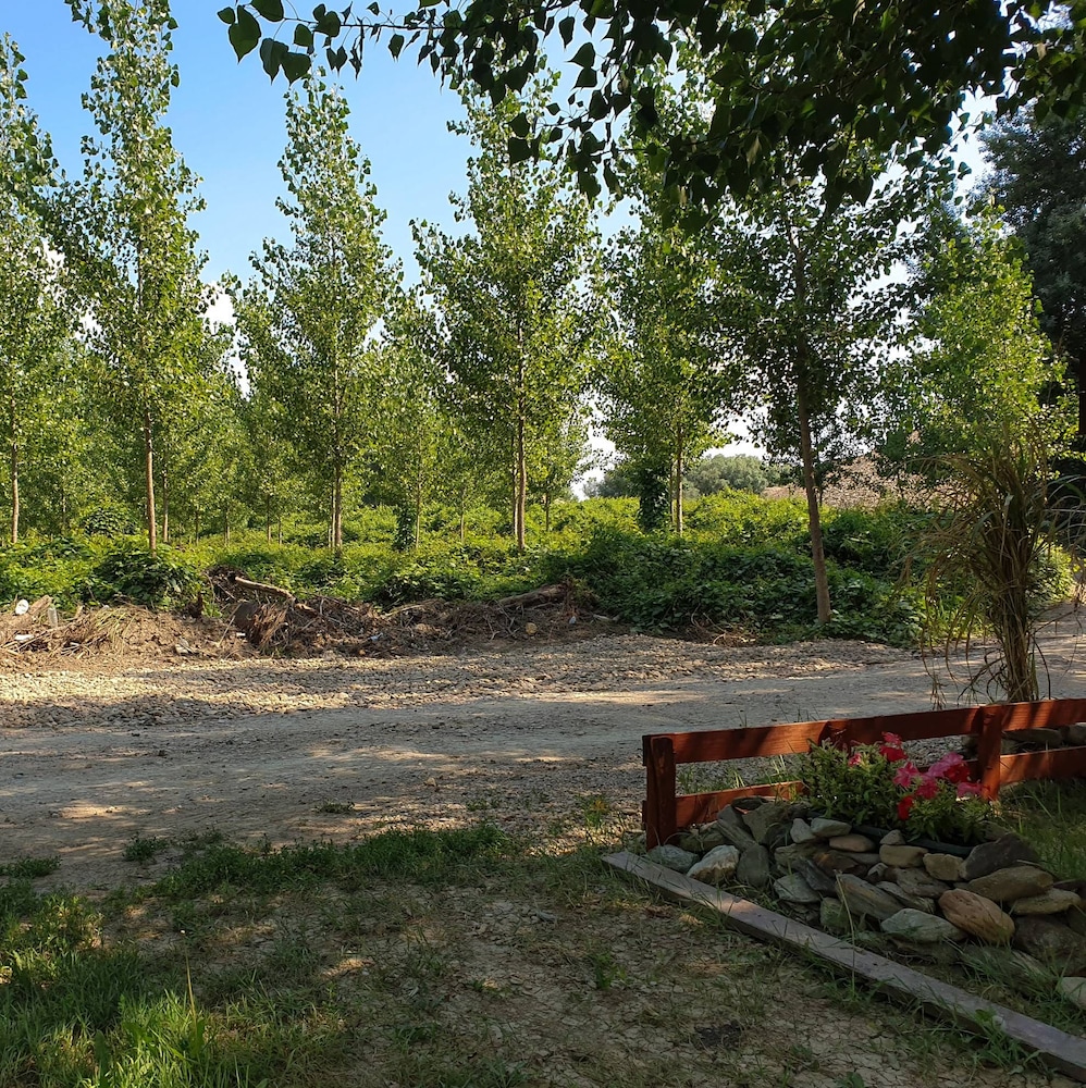 Photo 43