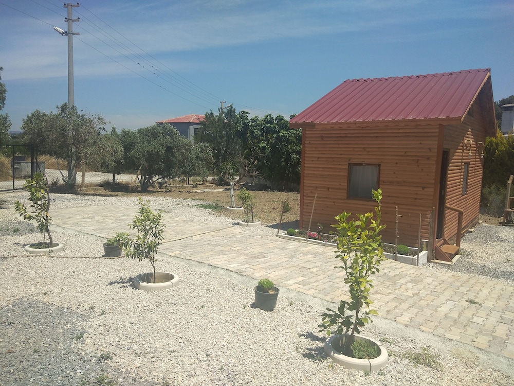 Photo 25