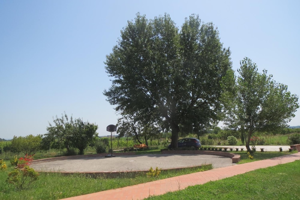 Photo 26