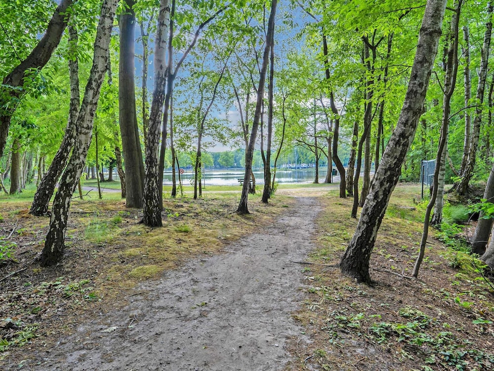 Photo 41