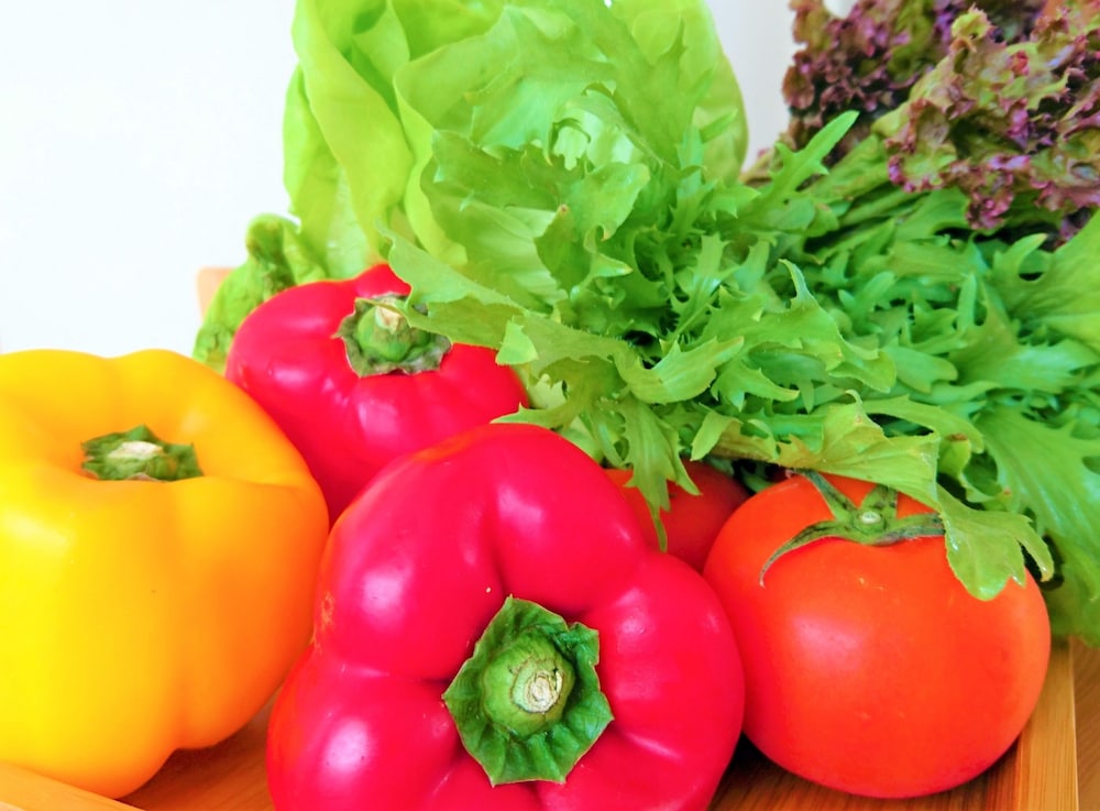 Marsu Xincheng SeaView Vegetarian B&B