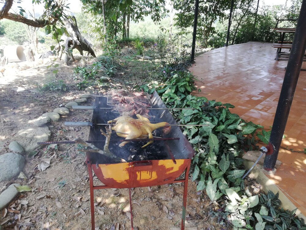 Photo 45