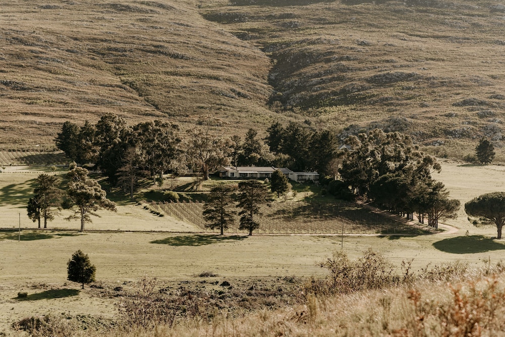 Blue Gum Country Estate