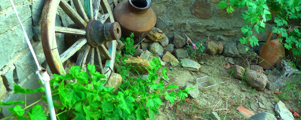 Photo 28