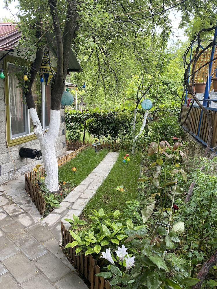 Photo 47