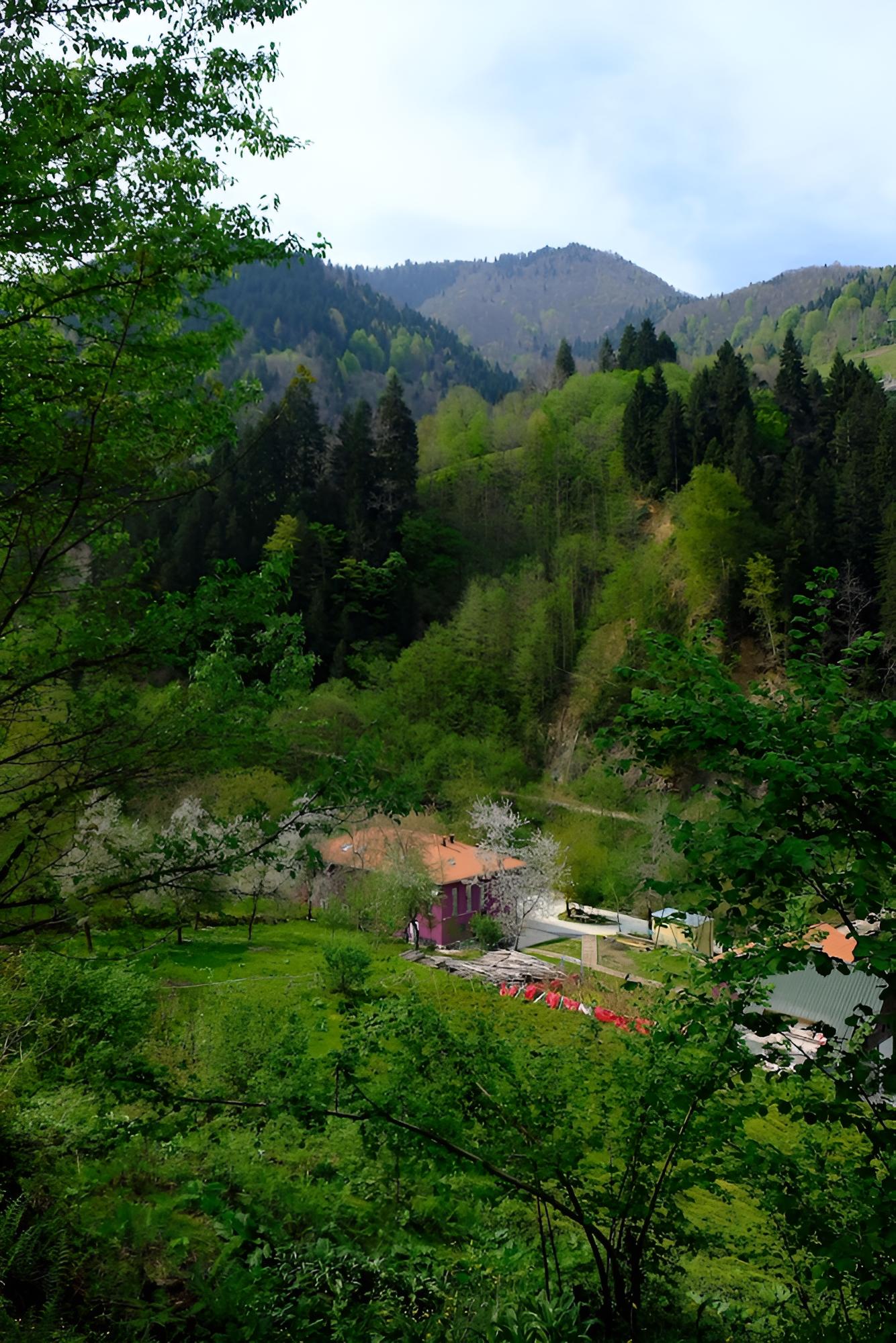 Nordic Hotel