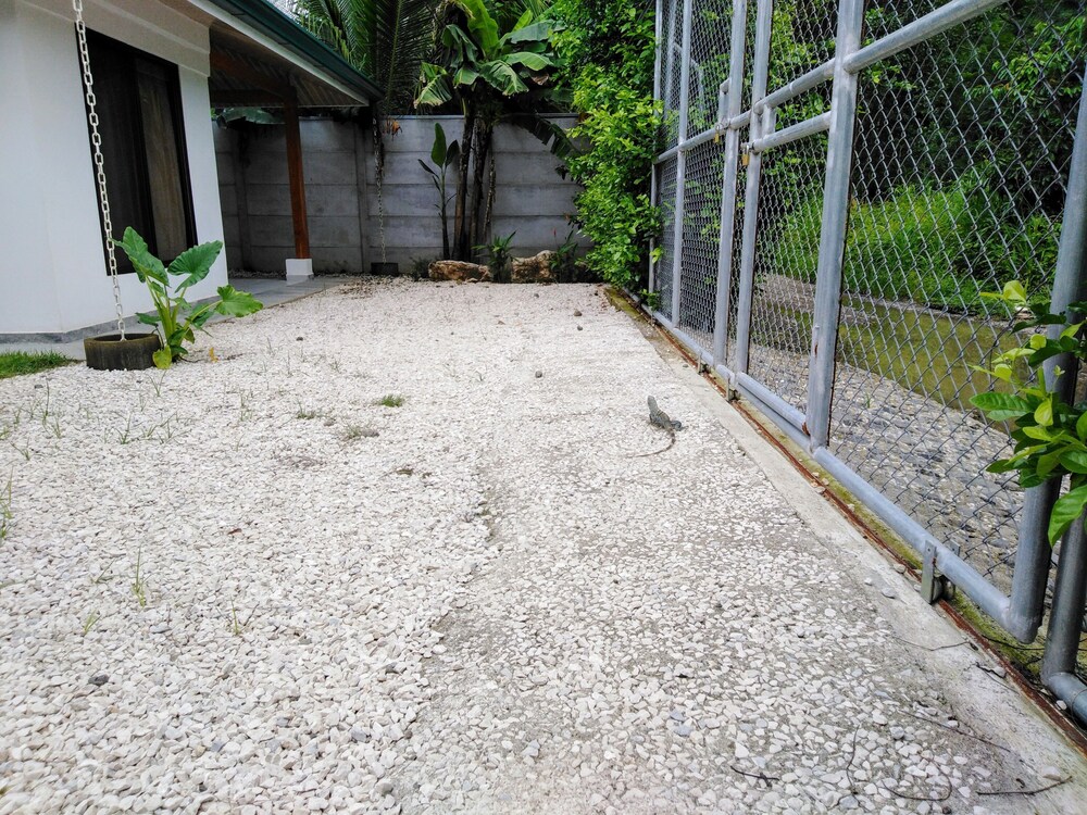 Photo 30
