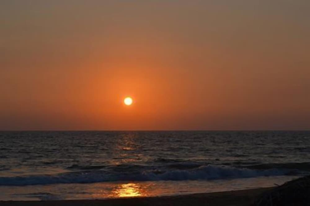 Sea Shine