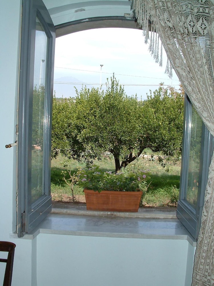 B&B Valleallegra