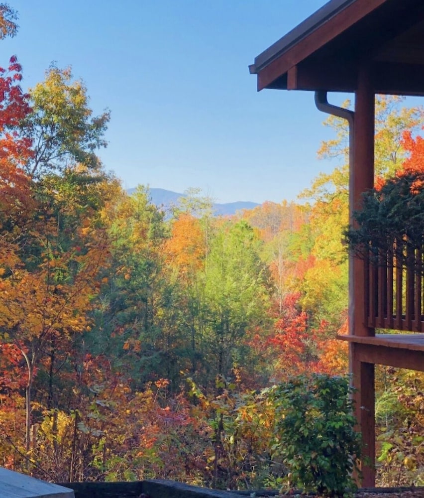 Eagles Nest 1 Bedroom Cabin