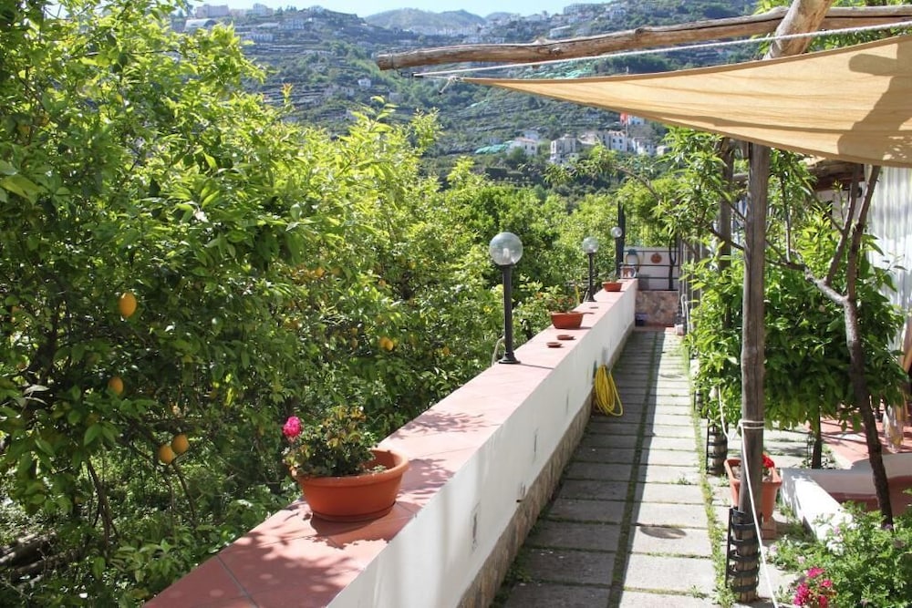 Outdoor Space