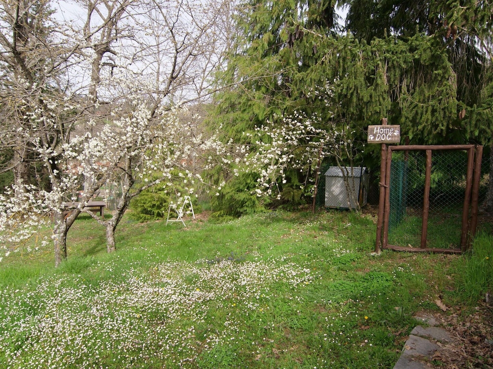 Photo 28