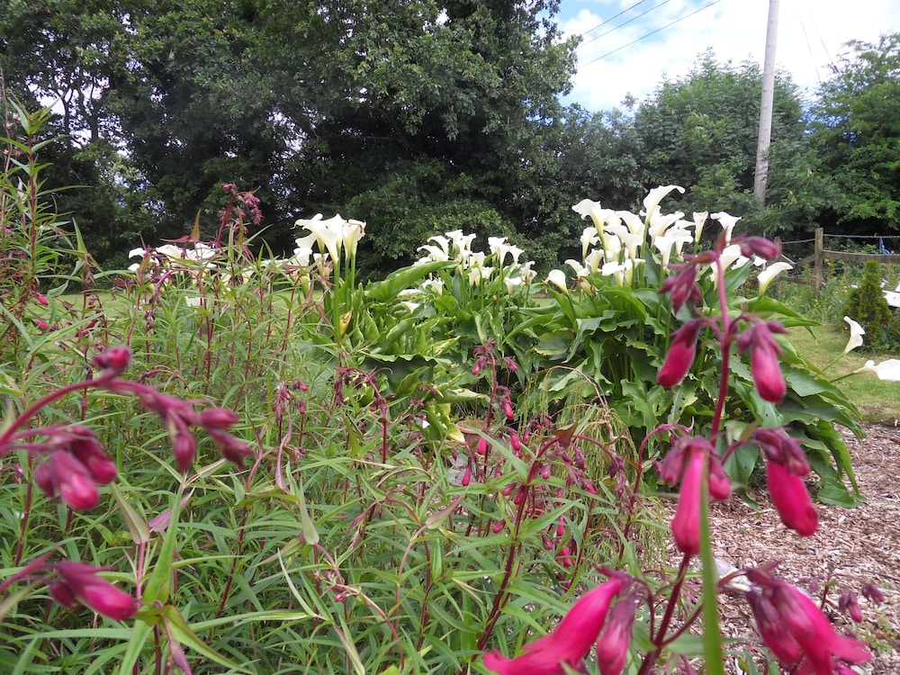 Photo 37