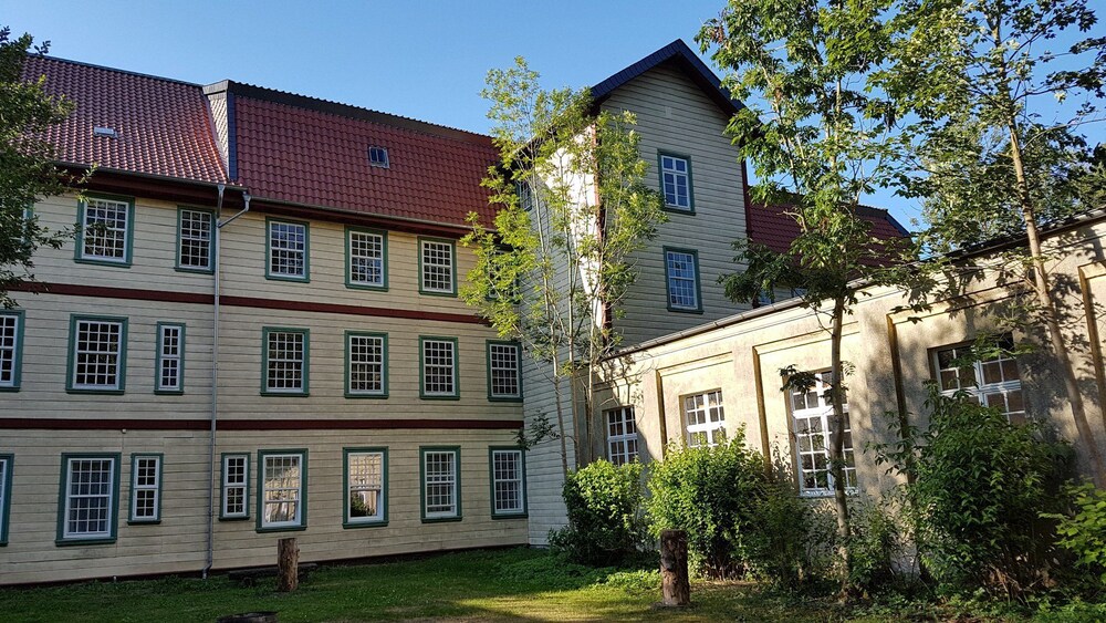Photo 19