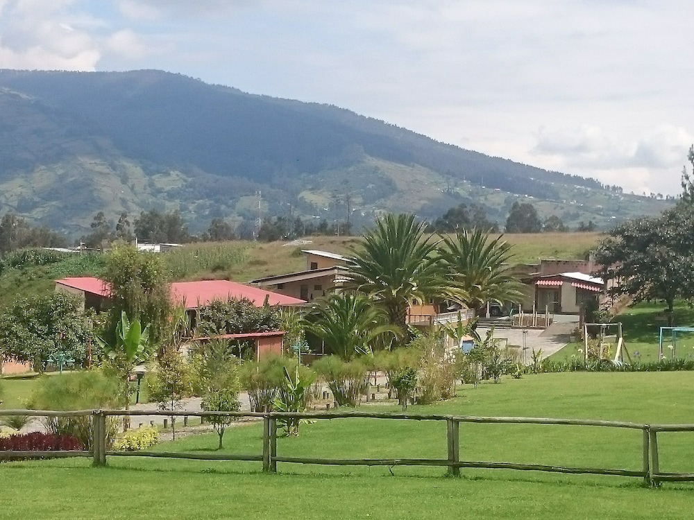 Ficus Lodge