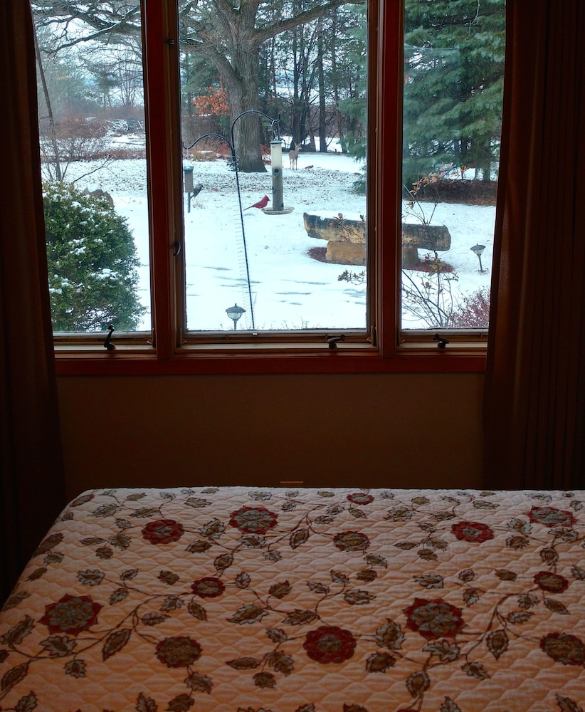 Loya's Little House Bed & Breakfast
