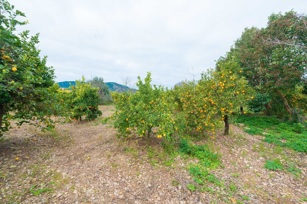 Can Raia in S Ller With 4 Bedrooms and 2 Bathrooms view 2