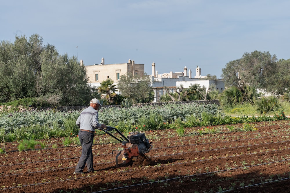 Masseria Palombara