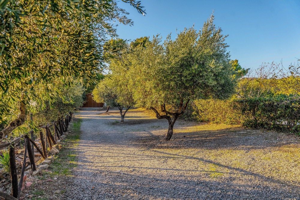 Camera in accogliente B&B ad Albidona