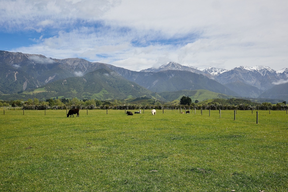 Awatea Country B&B