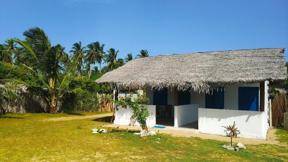dolphin wadiya