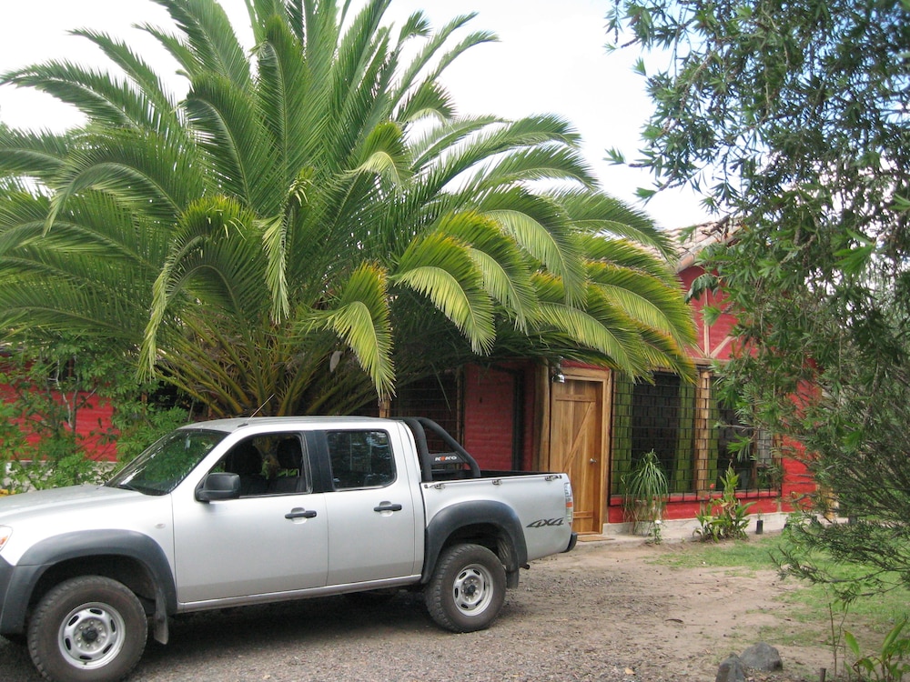Arie s Cabin