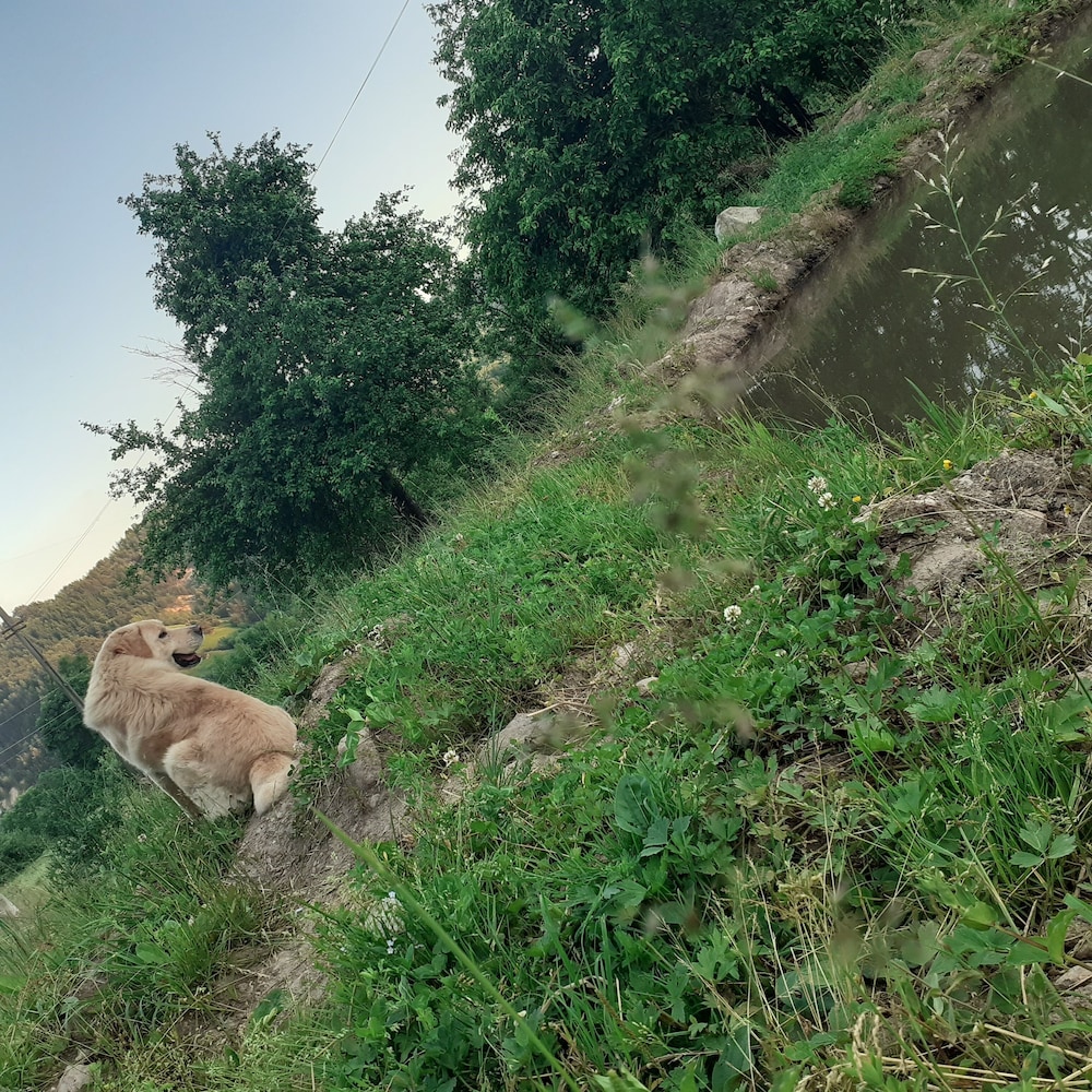 Photo 25